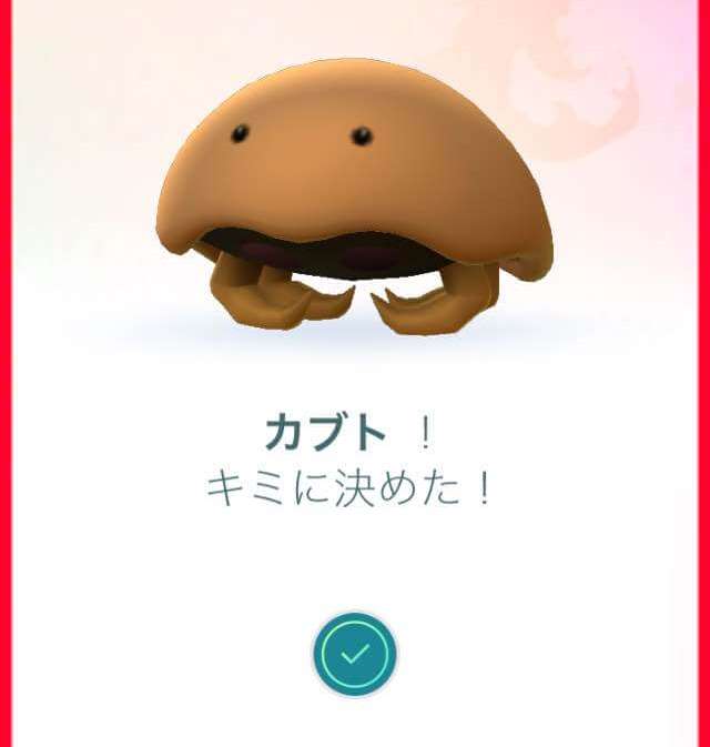 カブト!キミに決めた!